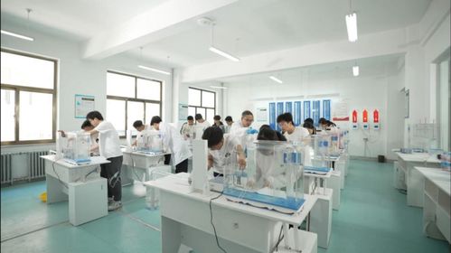 技能启航未来，职教铸就梦想——兰州资源环境职业技术大学旅游信息咨询服务专业建设探索
