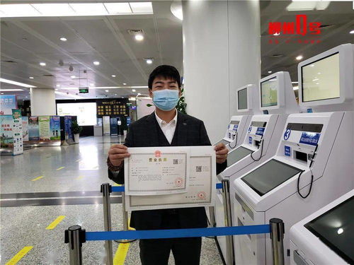 柳州100项便民服务周末照常办理，教育信息咨询服务位列其中